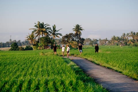 BAKUNGAN diJero Homestay Vacation rental in Marga