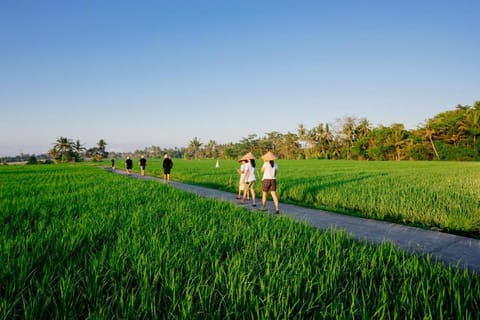 BAKUNGAN diJero Homestay Vacation rental in Marga