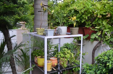 Oasis House Villa in Jaipur