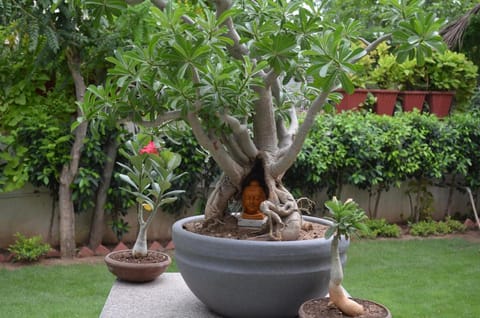 Oasis House Villa in Jaipur