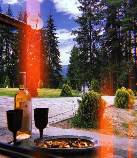 Cosy, calm and romantic place near lake Dospat Villa in Decentralized Administration of Macedonia and Thrace