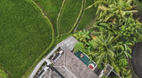 Asvara Villa Ubud by Ini Vie Hospitality Villa in Ubud