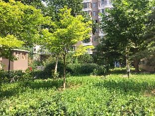 E1504 Wyatt City 1 Bedroom Apartment Apartment in Beijing