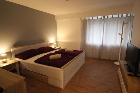 City Apartments 22 Apartment in Lucerne