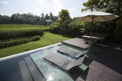Cozy 1 BR Villa with Private Pool IR05A Villa in Ubud