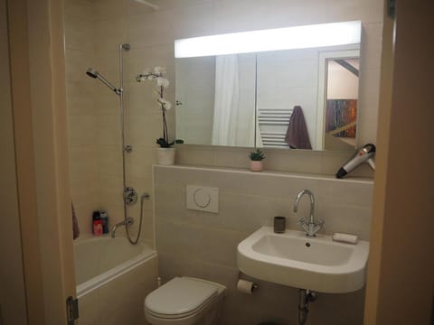 Magnifique maison de ville avec jardin et parking Vacation rental in Geneva