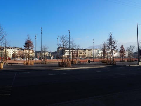 Magnifique maison de ville avec jardin et parking Vacation rental in Geneva