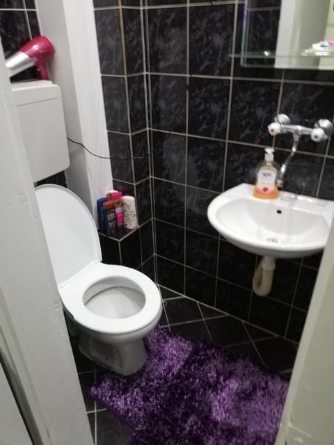 Anna's apartment Apartment in Serbia