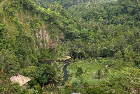 Deluxe Pool Villa - Breakfast#TRPM Vacation rental in Abiansemal