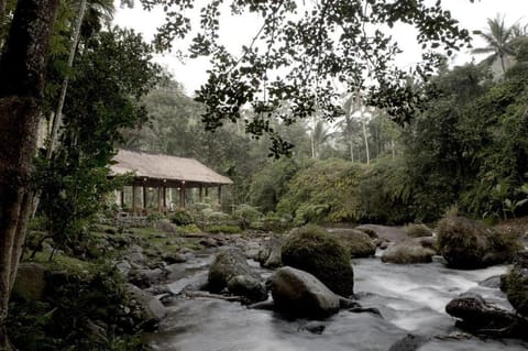 Entire 1 BR Healing Pool Villa #K145 Villa in Abiansemal