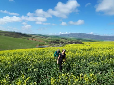 Farm holiday accommodation Vacation rental in Western Cape