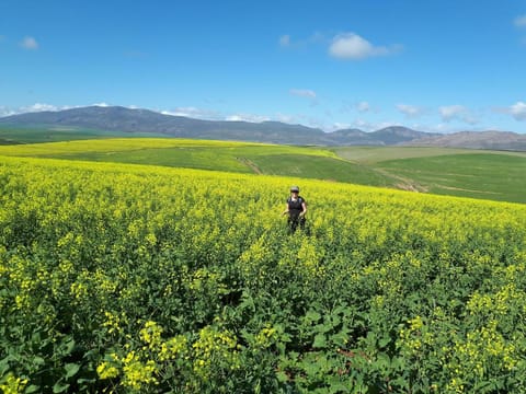 Farm holiday accommodation Vacation rental in Western Cape