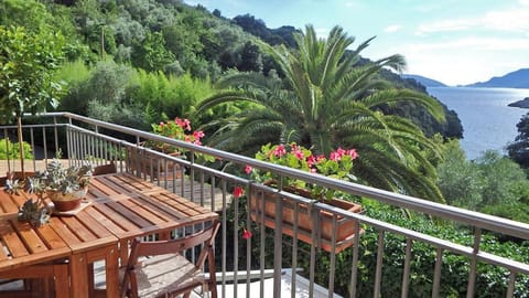 La Caletta Apartment in Tellaro