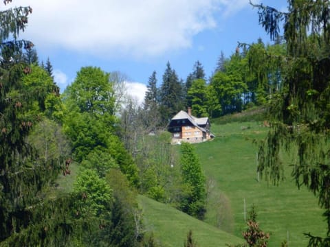 Kaspershausle apartment in the Black Forest  Vacation rental in Titisee-Neustadt