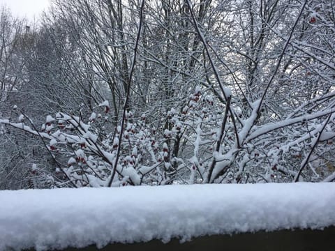 Haus Otis Apartment in Spittal an der Drau