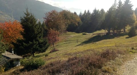 casa vacanza pineta Vacation rental in Province of Brescia