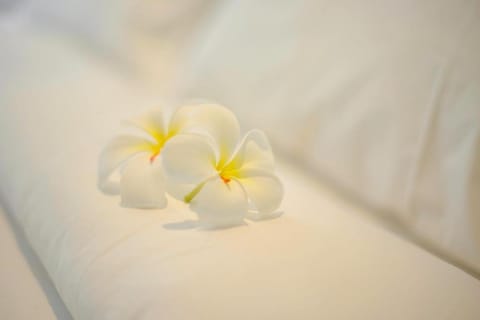 Venus Boutique Villa 10BR Villa in North Kuta