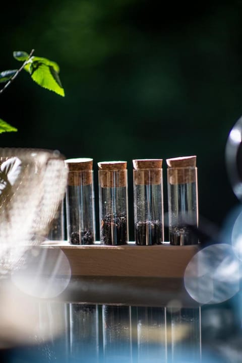 Loire Valley Lodges - Hotel Hotel in Centre-Val de Loire