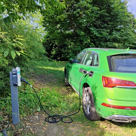 Dandelion Como Suites & Park Hotel in Como