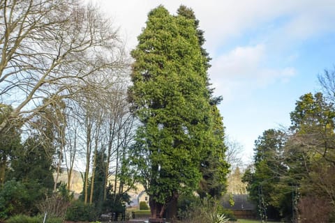 Heatherlie House Hotel  Vacation rental in England