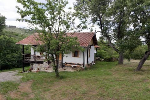 Flower House- Radlovtsi In Kyustendil Region Apartment in North Macedonia