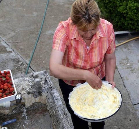 Walnut House- Radlovtsi In Kyustendil Region Apartment in North Macedonia