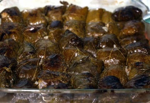 Walnut House- Radlovtsi In Kyustendil Region Apartment in North Macedonia