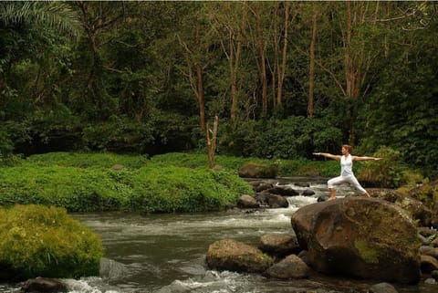 Cozy 1 BR Royal Private  Pool Villa #TZ2 Villa in Abiansemal