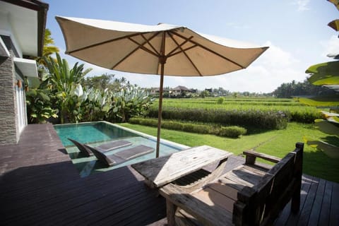 Entire 1 BR Private Pool Villa #DN9 Villa in Ubud