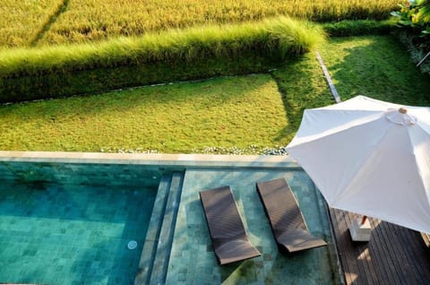 Entire 1 BR Private Pool Villa #DN9 Villa in Ubud