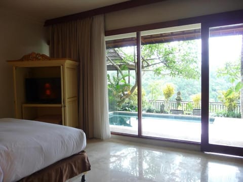 Cozy 1 BR Suite Plunge Pool Villa #DN17 Villa in Payangan