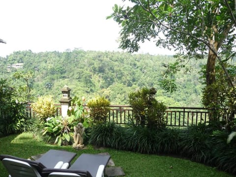 Cozy 1 BR Suite Plunge Pool Villa #DN17 Villa in Payangan