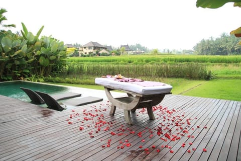 Drisana 1 BR Private Pool Villa DH11 Villa in Ubud