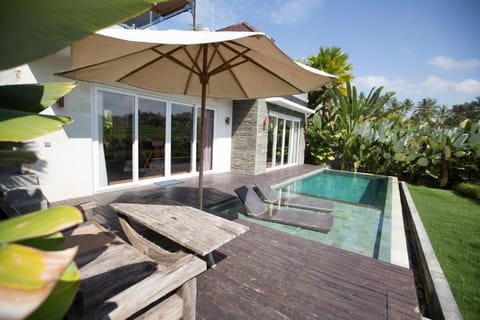 Drisana 1 BR Private Pool Villa DH11 Villa in Ubud