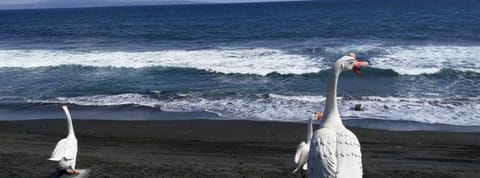 1BR villa in Keramas Gianyar near beach Villa in Blahbatuh