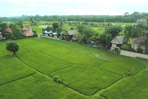 Luxury 1 BR Family Suite with Balcony NE166A Apartment in Ubud