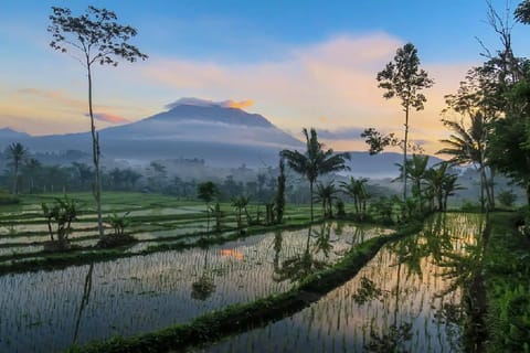 Bali Hotels Villa in Selat