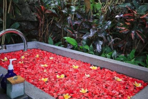 Cozy 1 BR Private Pool Villa #L116 Villa in Ubud