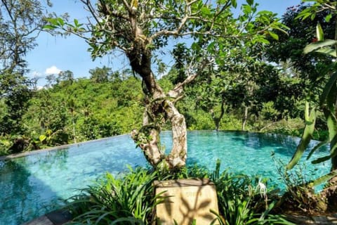 Entire 1 BR Private Pool Villa #L112 Villa in Tampaksiring