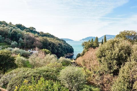 La Perla della Caletta Apartment in Tellaro