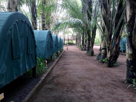 Tegal Dukuh Camp Campground/
RV Resort in Tampaksiring