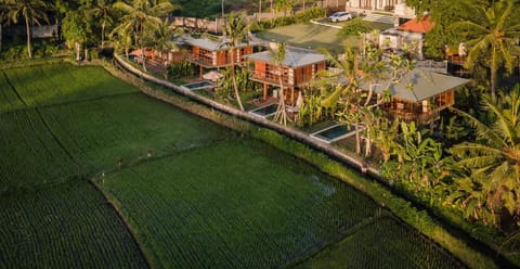 Grün Canggu Garden Resort in North Kuta