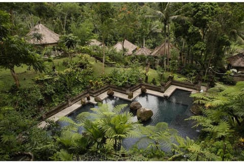 Cozy 1 BR Ayung Healing Villa W/Private Pool #L308 Villa in Abiansemal