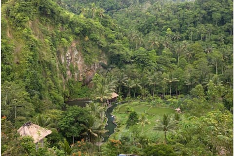 Diva 1 BR Royal Private Pool Villa DH66 Villa in Abiansemal