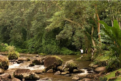 Diva 1 BR Royal Private Pool Villa DH66 Villa in Abiansemal