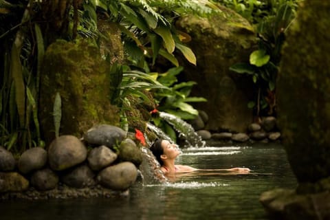 Adore 1 BR Royal Spa Villa #Z224 Villa in Abiansemal