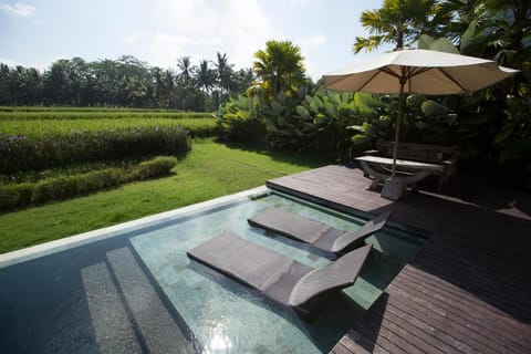 Cozy 1 BR Private Pool Villa #Z2 Villa in Ubud