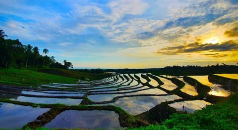 Galalima Glamping by AGATA Luxury tent in East Selemadeg