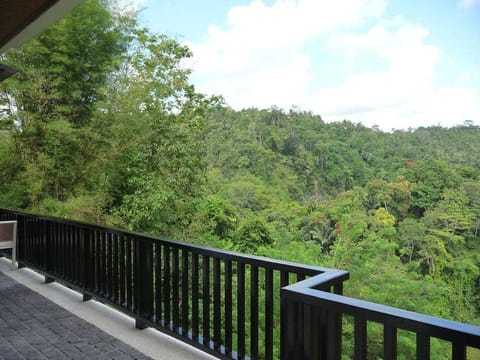 Luxury 1 BR Villa #Z181 Villa in Payangan