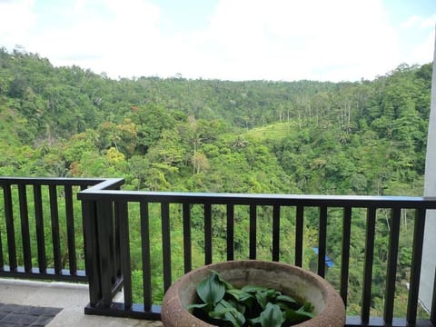 Luxury 1 BR Villa #Z181 Villa in Payangan